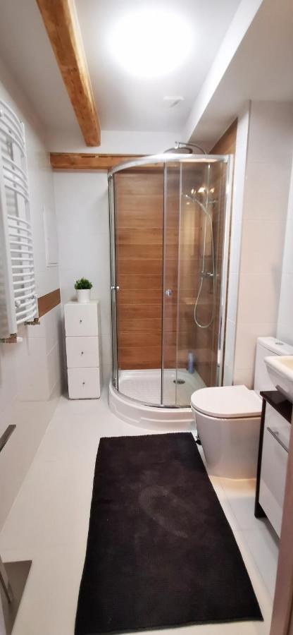 Klimatyczny Apartament Nr 8 Z Widokiem Na Gory Sowie Bielawa  Exterior photo